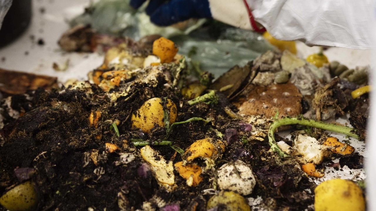 Kig i skraldeposer – og bliv klog på sorteringen