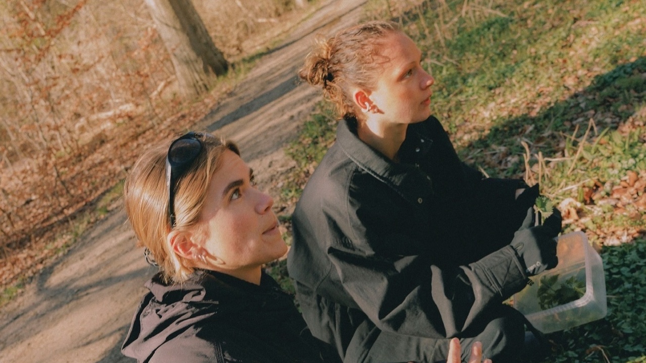 Kimchi &amp; grøntsagsretter med Plantepigerne