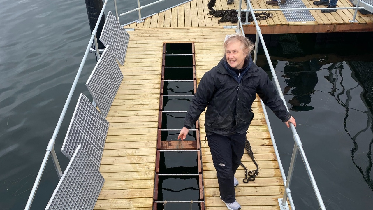 Lækkerier fra Skovshoved Havhave 