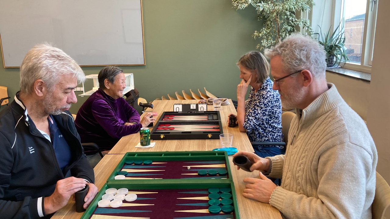 Backgammon om dagen